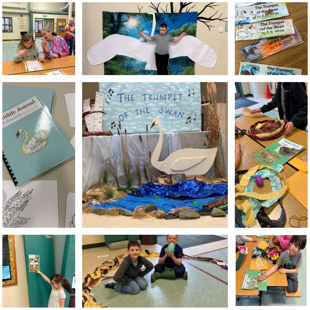 students doing different activities